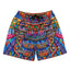 Pantalones Cortos de Malla Arcoíris Freesponsable de Chris Dyer
