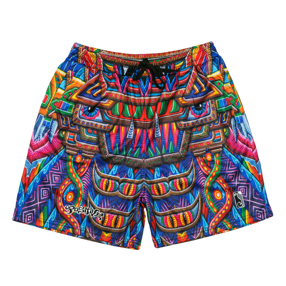 Pantalones Cortos de Malla Arcoíris Freesponsable de Chris Dyer