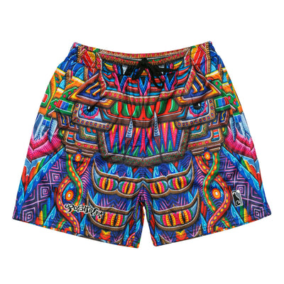 Pantalones Cortos de Malla Arcoíris Freesponsable de Chris Dyer