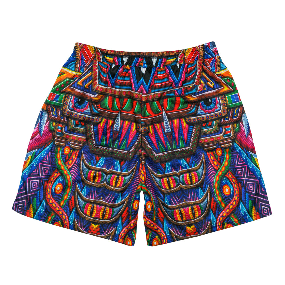 Pantalones Cortos de Malla Arcoíris Freesponsable de Chris Dyer