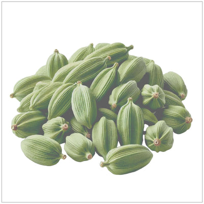 Vainas de Cardamomo Verde Premium