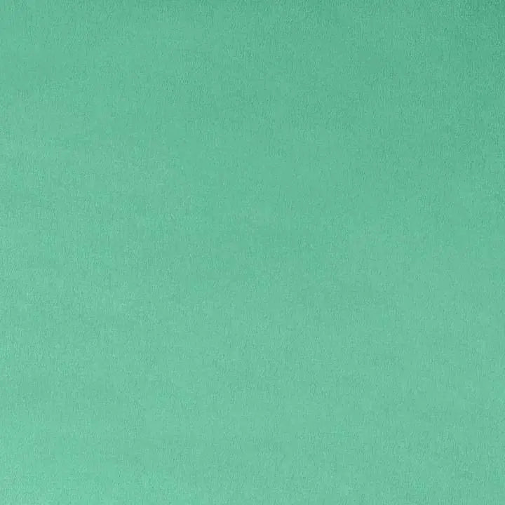 Tela Sólida Extra Ancha Verde Menta Cuddle 3