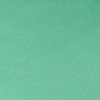 Tela Sólida Extra Ancha Verde Menta Cuddle 3