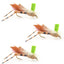 3 Pack Green Top Hopper Foam Body Grasshopper Fly - Hook Size 10