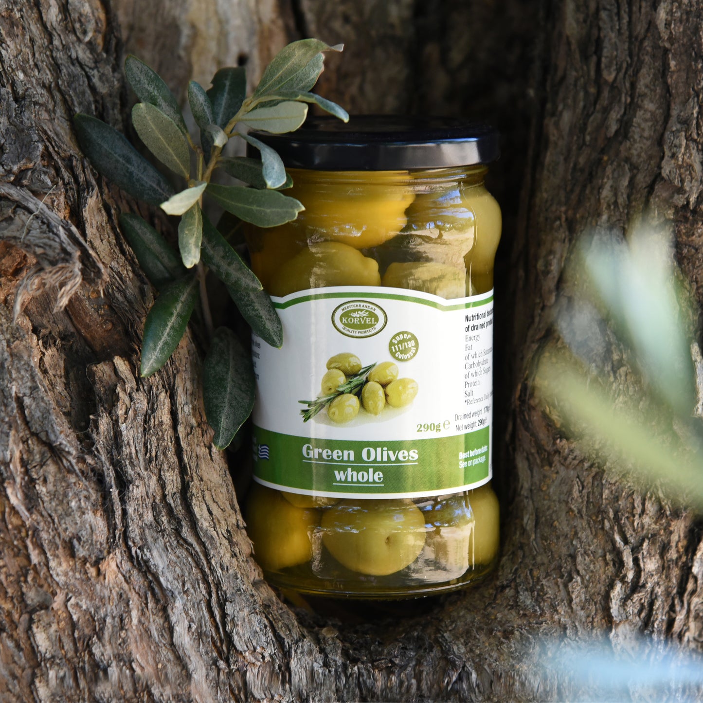 KORVEL Greek Green Whole Halkidiki Olives – Super Colossal – 10.65 oz Glass Jar