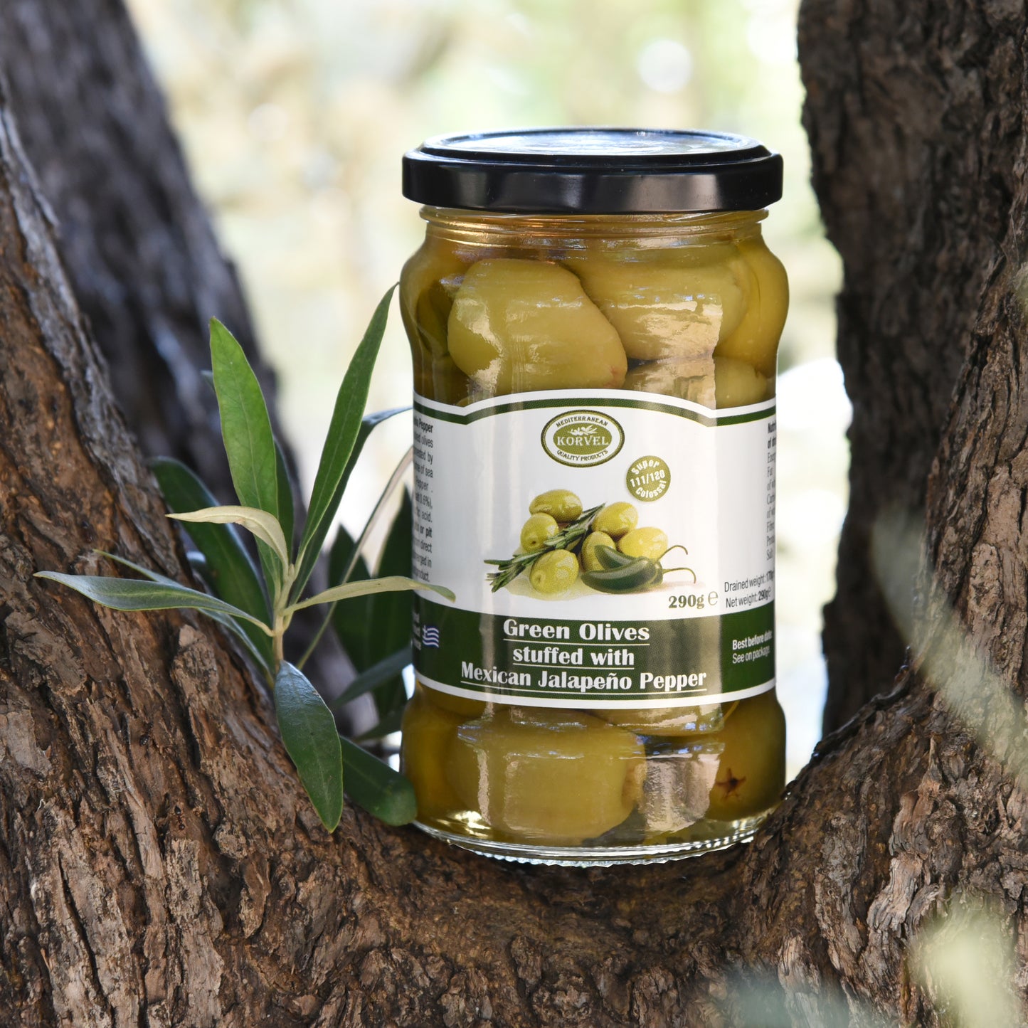 KORVEL Greek Green Halkidiki Olives stuffed with Jalapeno, Super Colossal, 10.65 oz