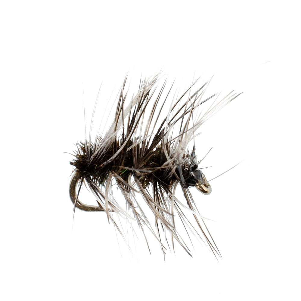 Premium Barbless Griffiths Gnat Midge Dry Flies - 12 Pack Size 20 for Trout Fishing - Korvel