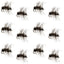 Premium Griffith's Gnat Midge Dry Flies - 12 Pack Size 20 for Trout Fishing - Korvel