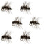 Essential Griffith's Gnat Midge Dry Flies - Set of 6 Size 20 for Trout Fishing - Korvel