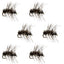 Premium Griffith's Gnat Midge Dry Flies - Pack of 6 Size 18 for Trout Fishing - Korvel