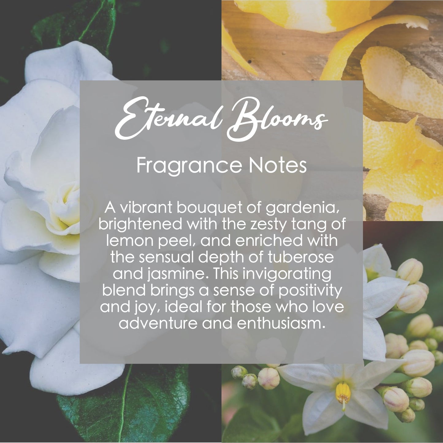 Eternal Blooms Crystal-Infused Coconut-Soy Wax Melts - Korvel
