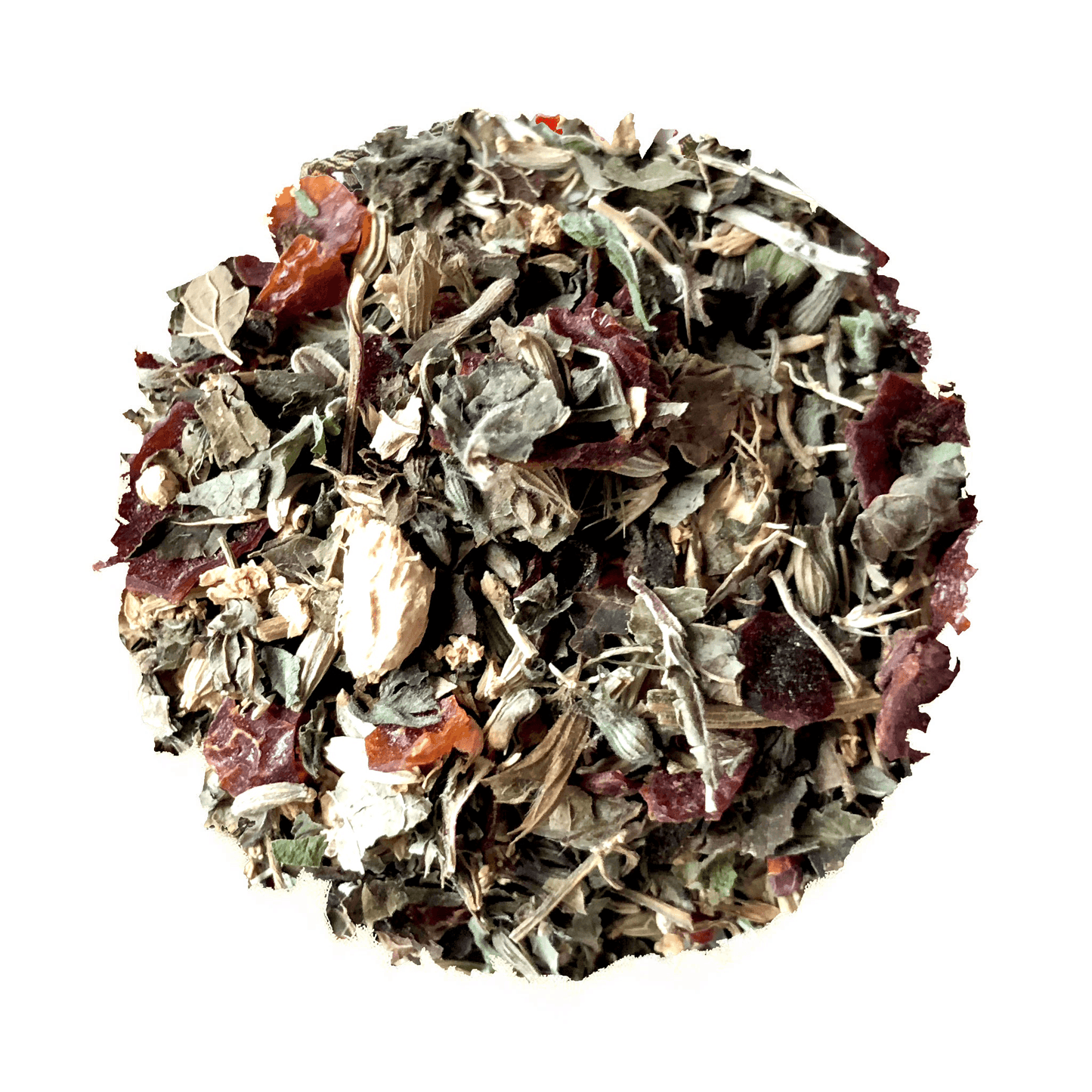 Growing Up Coastal For Kids - Korvel