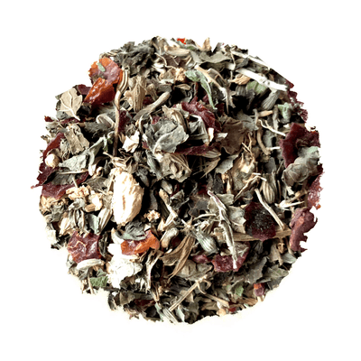 Growing Up Coastal For Kids - Korvel