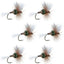 H & L Variant Classic Dry Fly - 6 Flies Hook Size 14