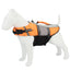 Comfortable Dog Life Vest for Safe Water Adventures