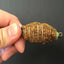 1PC New Fishing Net Fishing Cage fishnet Design Copper Spring Shoal Net Netting Fishing Tackle Fishing Supplies - Korvel