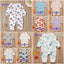 Floral Dinosaur Car Printed Baby Romper - Long Sleeve