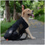 Premium Hiking Pet Dog Carrier Travel Backpack