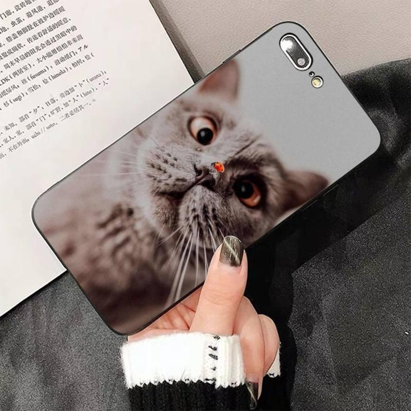 Cute Cat Black Phone Case for iPhone - Slim Fit Silicone Cover