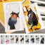 Beauty Horse Phone Case for iPhone - Slim & Stylish Protection