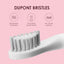 Brosse à dents électrique sonique avec plusieurs modes de nettoyage