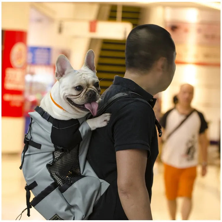 Premium Hiking Pet Dog Carrier Travel Backpack