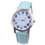 Montre à Quartz Classique Chat pour Femmes - 8 Couleurs Élégantes