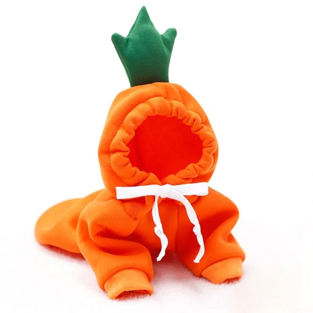 Manteau d'hiver pour chien à thème fruité