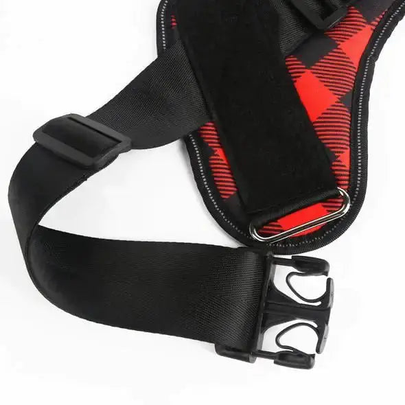 Harnais de sécurité premium pour chiens pour des promenades confortables