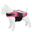 Comfortable Dog Life Vest for Safe Water Adventures