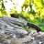 Premium 13" Handmade Bowie Knife with Damascus Steel Blade and Elegant Rosewood Handle - Korvel