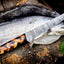 Premium Custom Damascus Steel Fillet Knife | 13" Precision Tool - Korvel