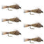 Premium Gold Ribbed Hares Ear Nymphs - 6 Pack - Size 12 - Korvel