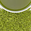 Very Berry Matcha