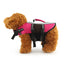 Comfortable Dog Life Vest for Safe Water Adventures
