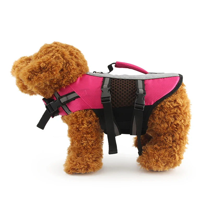Comfortable Dog Life Vest for Safe Water Adventures