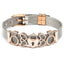 Conjunto de Pulseras de Acero Inoxidable Elegante con Charm de Corazón de Cristal
