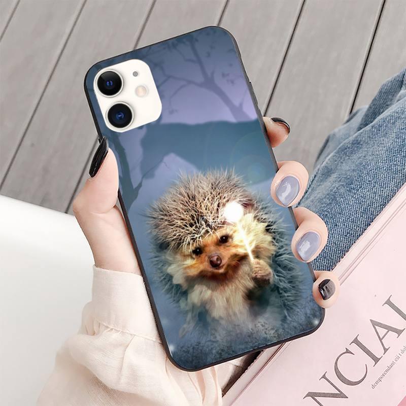 Bright Hedgehog In The Fog Phone Case for iPhone