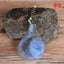 1PC New Fishing Net Fishing Cage fishnet Design Copper Spring Shoal Net Netting Fishing Tackle Fishing Supplies - Korvel