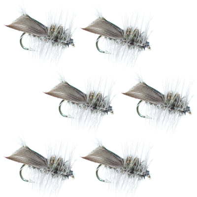 Premium Caddis Dry Fly Set - 6 Size 14 Flies for Trout & Bass - Korvel