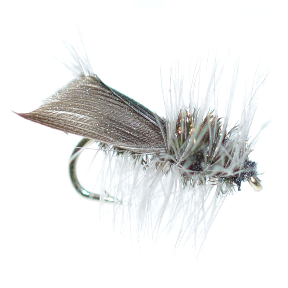 Premium Hemingway Caddis Dry Flies - Size 14 (Pack of 6) - Korvel