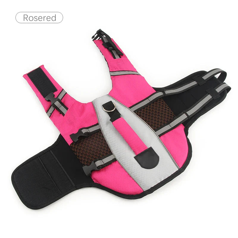Comfortable Dog Life Vest for Safe Water Adventures