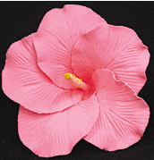 Large Pink Hibiscus Flower Decorations - 9 Count