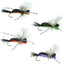 Hippie Stomper Size 14 Sampler - Premium Foam Grasshopper Dry Flies - Korvel