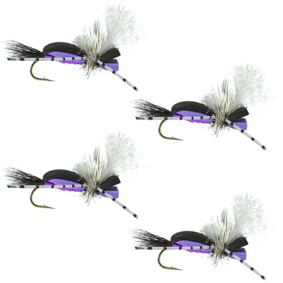 Hippie Stomper Foam Grasshopper Dry Fly - Black Purple - Size 14 (Pack of 4) - Korvel