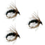 Pack de 3 Mouches Émergentes Caddis Pupa Saint Graal Noires - Taille 16
