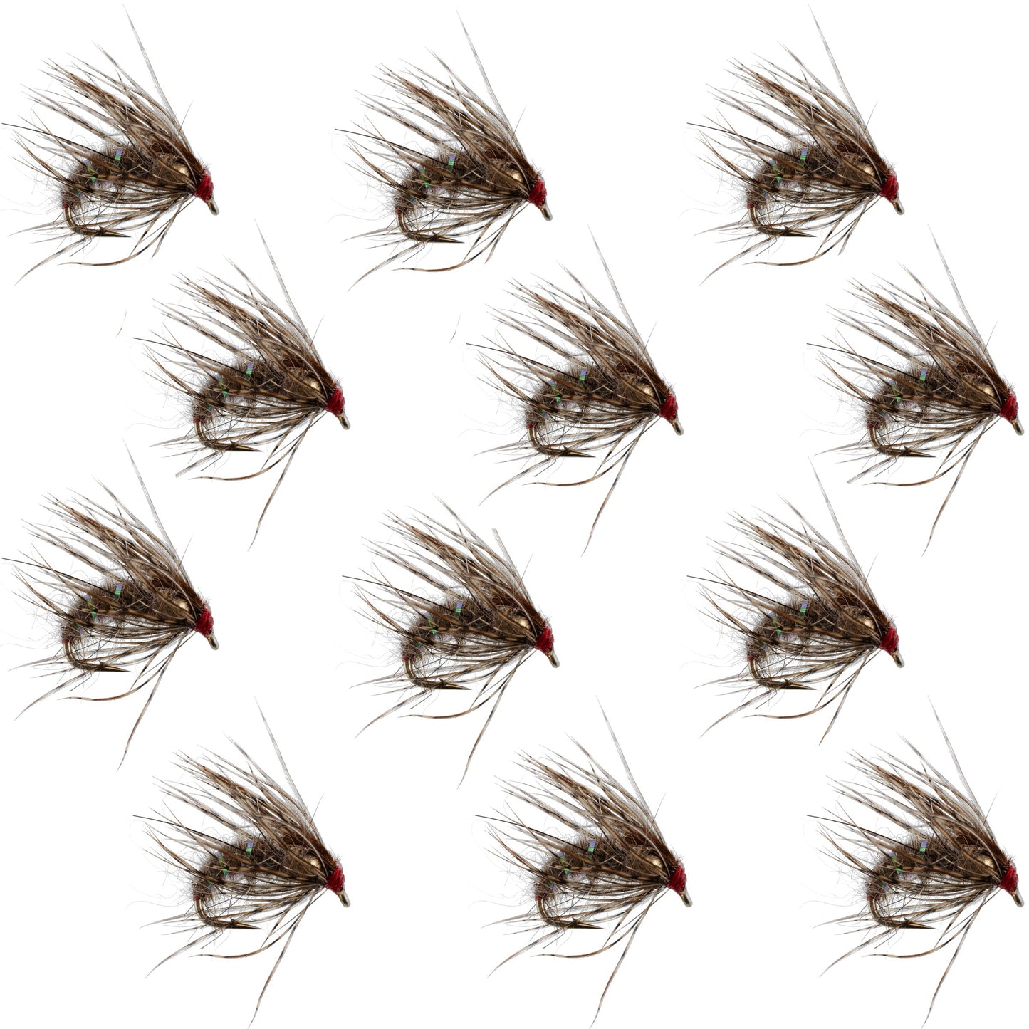 Hares Ear Holy Grail Caddis Pupa Emerger - Size 12 Flies (12 Pack)