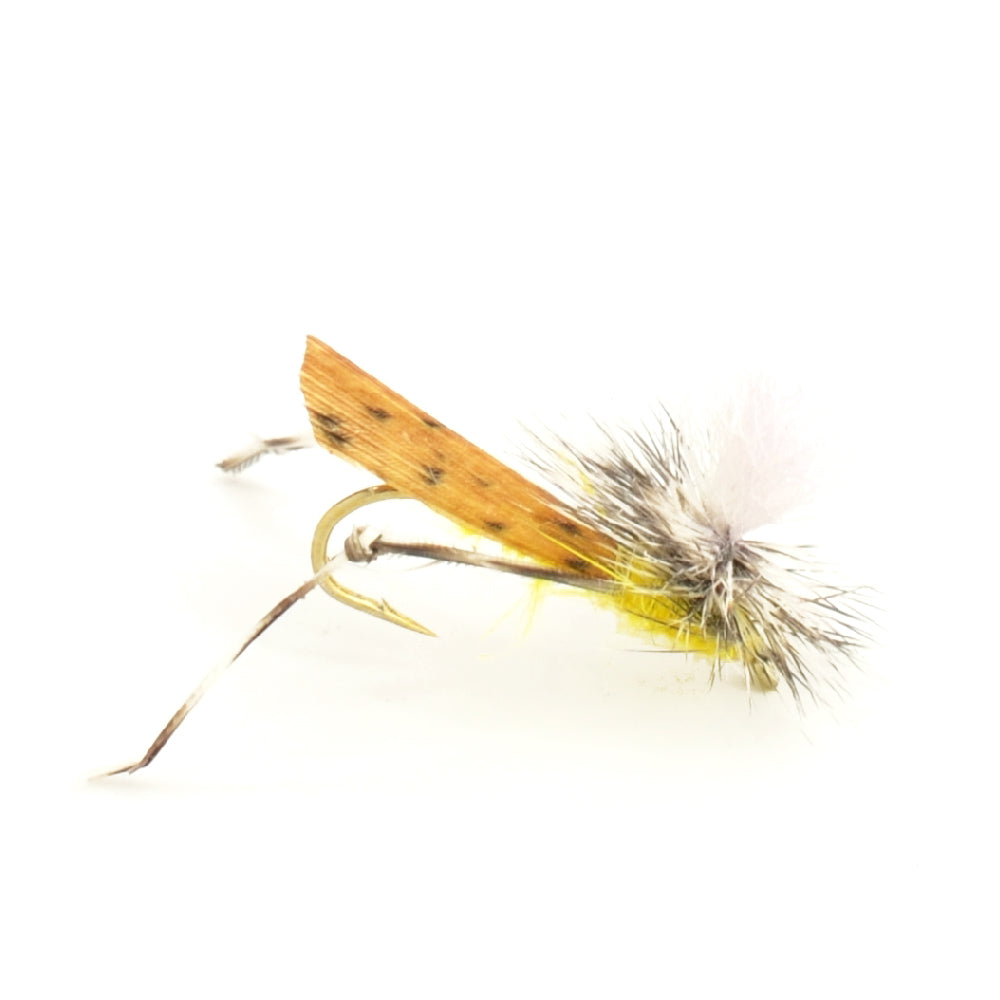 Essential Terrestrial Dry Fly Set - 10 Premium Fishing Flies for Trout and Bass - Korvel