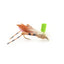 Colección Basics - Surtido de moscas secas Foam Hoppers n.° 2 - 10 moscas secas Grasshopper para pesca - 5 patrones - Anzuelo tamaño 10 
