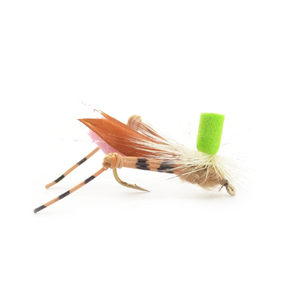 Ultimate Trout Fly Collection - 16 Essential Flies for Fishing